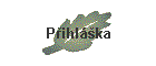 Pihlka