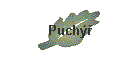 Puch